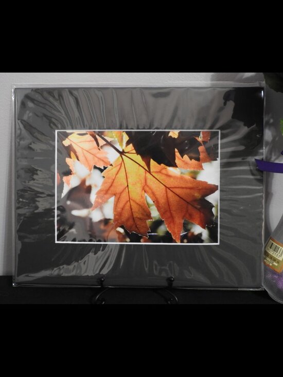 Source Unknown Other - 2/$13 Matted Photography Autumn Leaf Close Up, 8x10